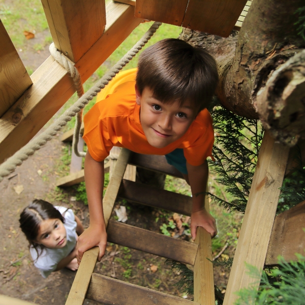 A treehouse way up high