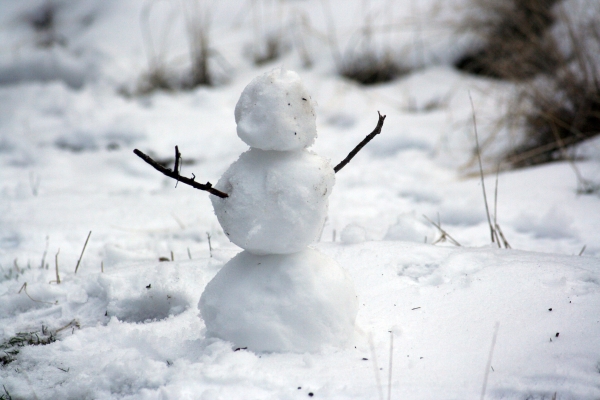 Winter warmer: maintaining your playground this winter